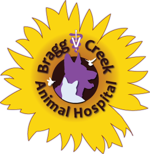 Bragg Creek Animal Hospital