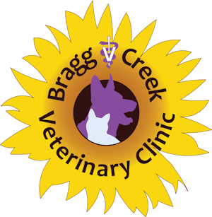 Bragg Creek Veterinary Clinic